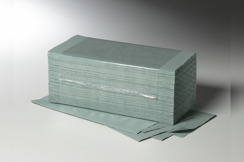 Fripa Papier Handtücher Grün Plus 20 x 250 Stück 