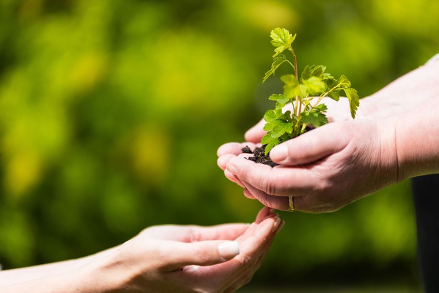 Bild von Wir denken und handeln nachhaltig